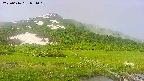 area1-20250616081017.jpg