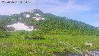 area1-20250616082018.jpg