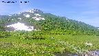 area1-20250616084019.jpg