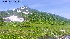 area1-20250616085016.jpg