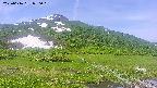area1-20250616090020.jpg