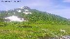 area1-20250616091019.jpg