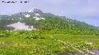 area1-20250616094020.jpg