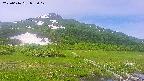 area1-20250616095018.jpg