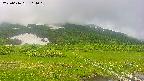 area1-20250616114019.jpg