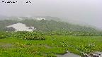 area1-20250616155018.jpg