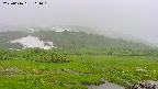 area1-20250616161018.jpg
