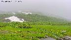 area1-20250616162018.jpg