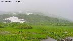 area1-20250616164020.jpg