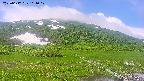 area1-20250617101018.jpg