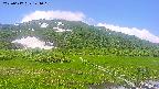 area1-20250617121020.jpg