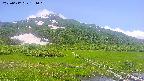 area1-20250617131019.jpg