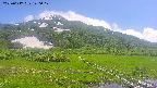 area1-20250617140018.jpg
