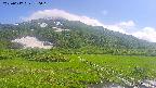 area1-20250617150017.jpg