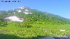 area1-20250618065020.jpg