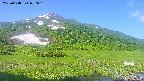 area1-20250618070019.jpg