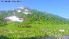 area1-20250618071021.jpg