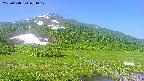 area1-20250618074018.jpg