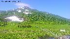 area1-20250618075019.jpg