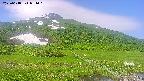 area1-20250618081020.jpg