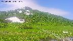 area1-20250618083018.jpg