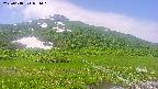 area1-20250618094017.jpg