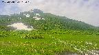 area1-20250618102019.jpg