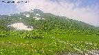 area1-20250618103019.jpg
