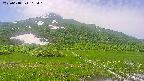area1-20250618105018.jpg