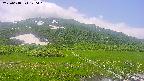 area1-20250618120017.jpg