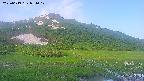 area1-20250619051018.jpg