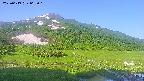 area1-20250619062019.jpg