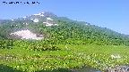 area1-20250619071018.jpg