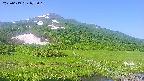 area1-20250619072017.jpg
