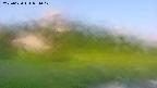 area1-20250620051019.jpg