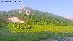 area1-20250620053019.jpg