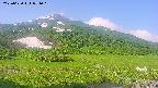 area1-20250620071017.jpg