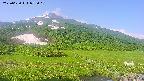 area1-20250620072020.jpg