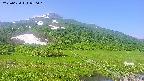 area1-20250620080019.jpg