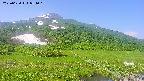 area1-20250620081016.jpg