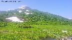 area1-20250620082019.jpg