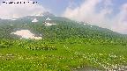 area1-20250620105016.jpg