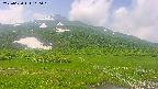 area1-20250620110017.jpg