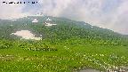 area1-20250620111017.jpg