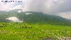 area1-20250620113021.jpg