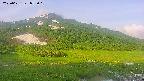 area1-20250621053020.jpg