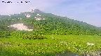 area1-20250621070017.jpg