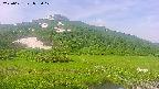 area1-20250621072018.jpg