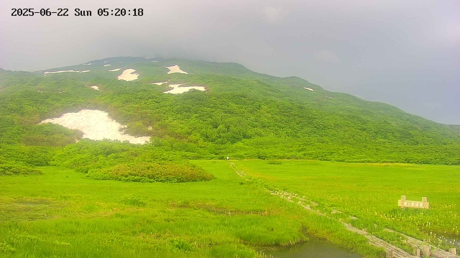 area1-20250622052018.jpg