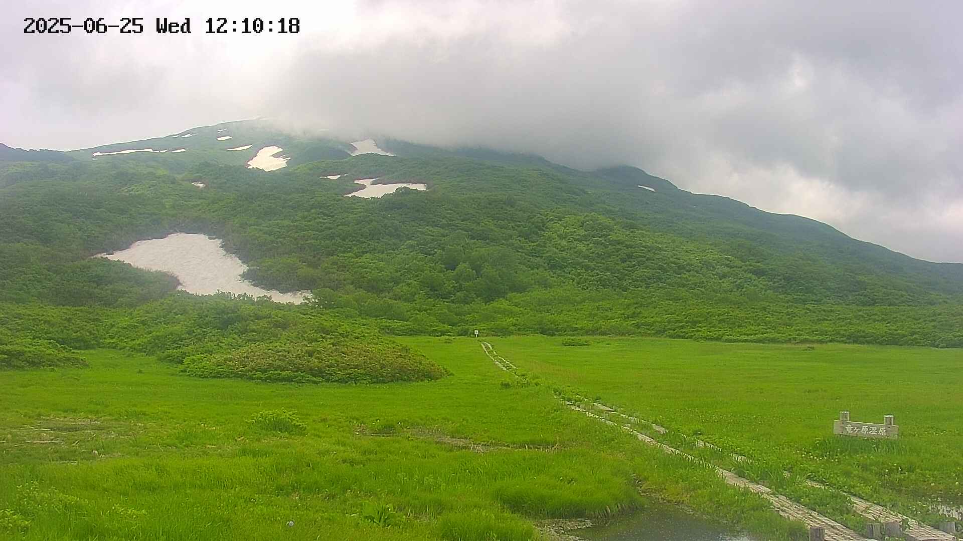 area1-20250625121019.jpg